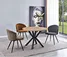 dining table dining chair
